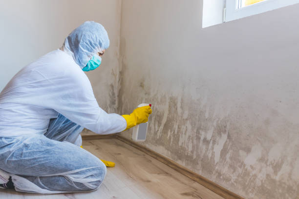 Mold Remediation specialist working in Elizabethtown